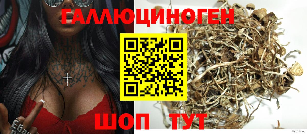 Галлюциногенные грибы Magic Shrooms Калач-на-Дону