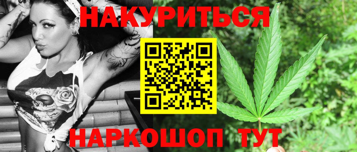 Конопля сатива Калач-на-Дону